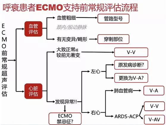 ECMO（專題三）(圖2)