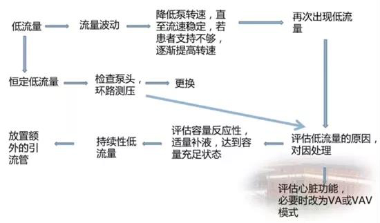 ECMO（專題一）(圖3)